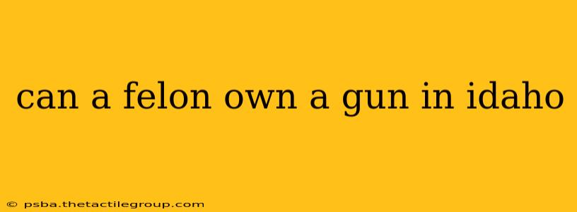 can a felon own a gun in idaho