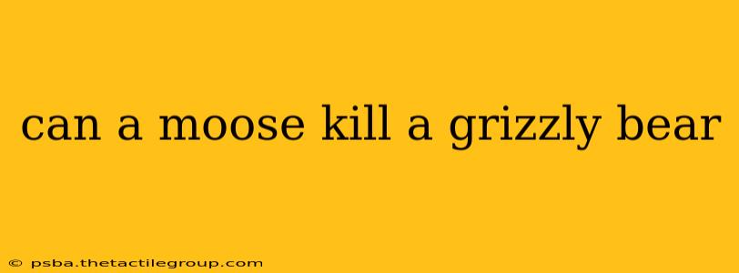 can a moose kill a grizzly bear