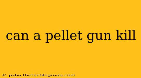 can a pellet gun kill