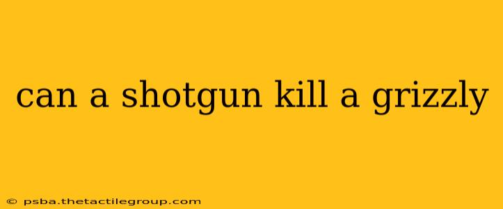 can a shotgun kill a grizzly