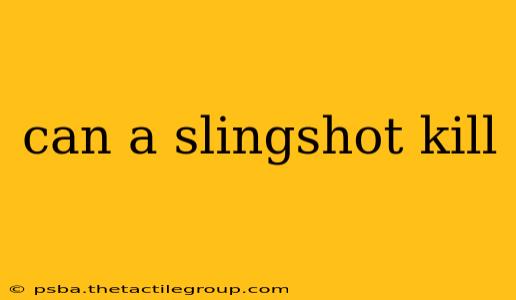 can a slingshot kill