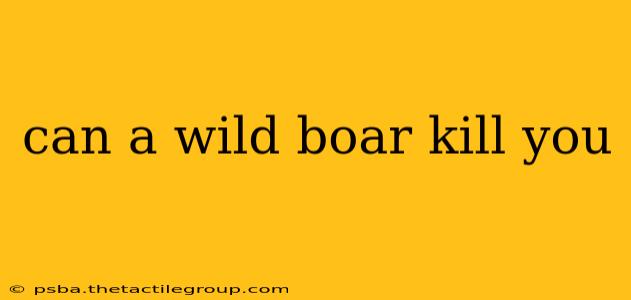 can a wild boar kill you