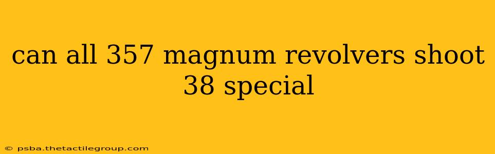 can all 357 magnum revolvers shoot 38 special