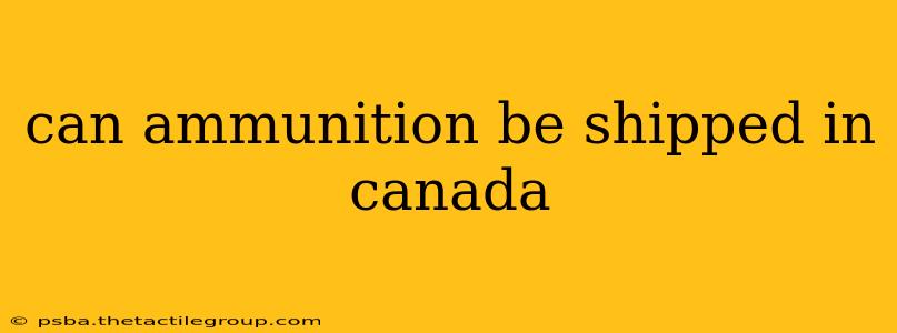 can ammunition be shipped in canada