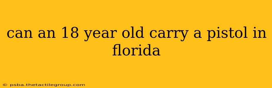 can an 18 year old carry a pistol in florida