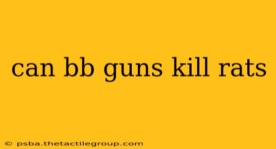 can bb guns kill rats