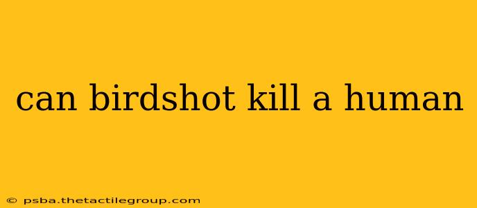 can birdshot kill a human