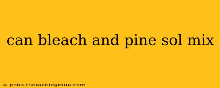 can bleach and pine sol mix