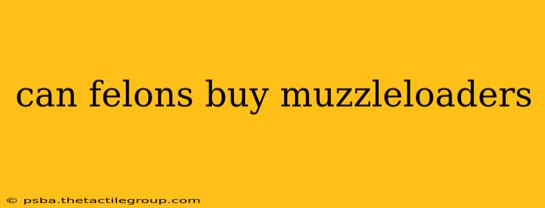 can felons buy muzzleloaders