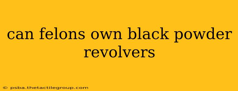 can felons own black powder revolvers