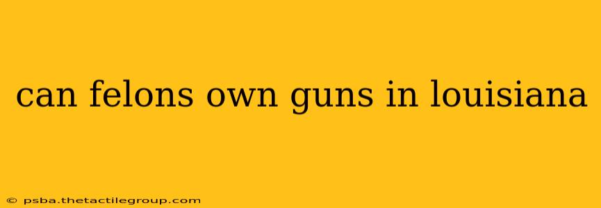 can felons own guns in louisiana