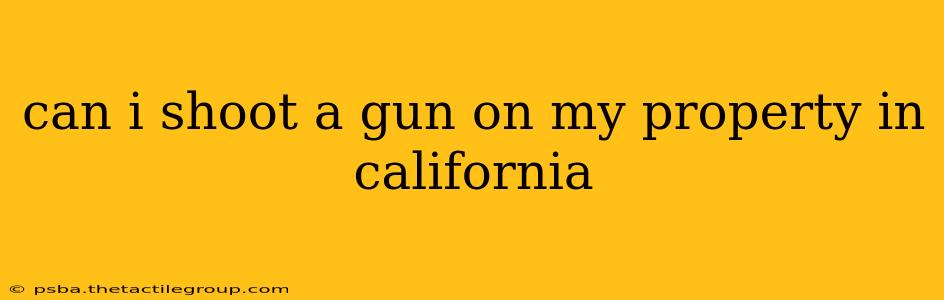 can i shoot a gun on my property in california