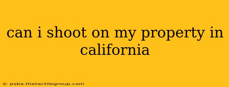 can i shoot on my property in california