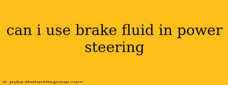 can i use brake fluid in power steering