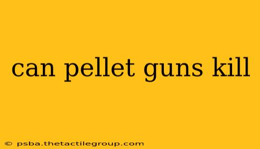 can pellet guns kill