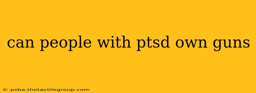 can people with ptsd own guns