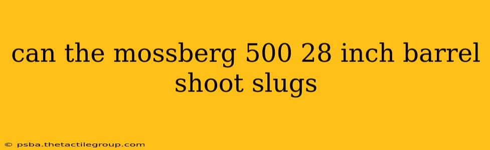 can the mossberg 500 28 inch barrel shoot slugs