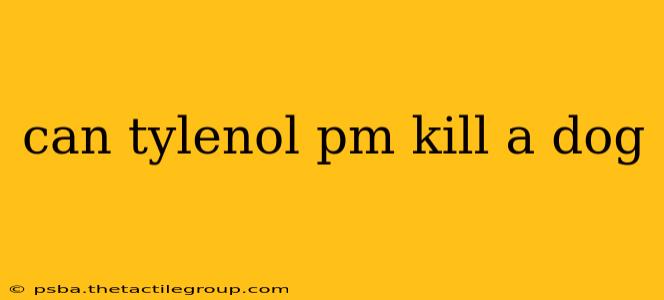 can tylenol pm kill a dog