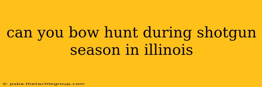 can you bow hunt during shotgun season in illinois