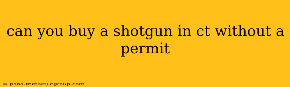 can you buy a shotgun in ct without a permit