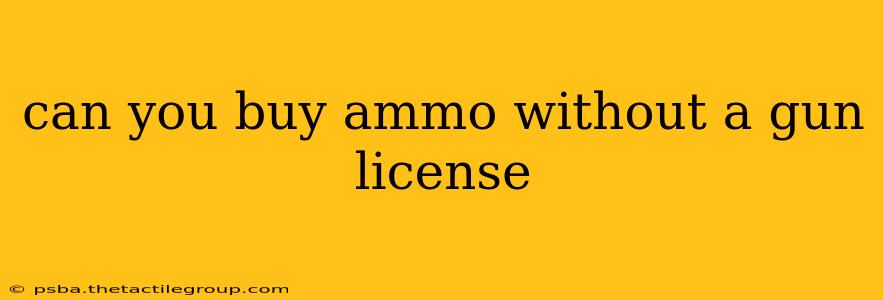 can you buy ammo without a gun license