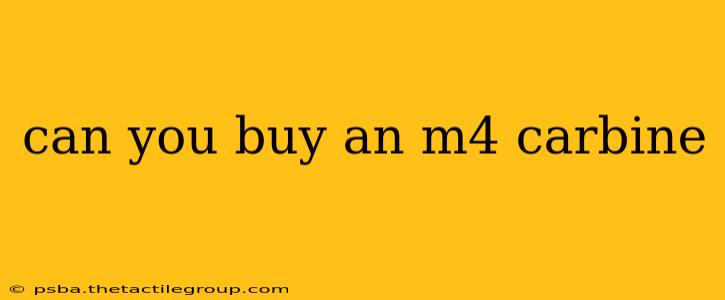 can you buy an m4 carbine