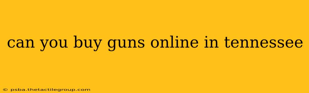 can you buy guns online in tennessee