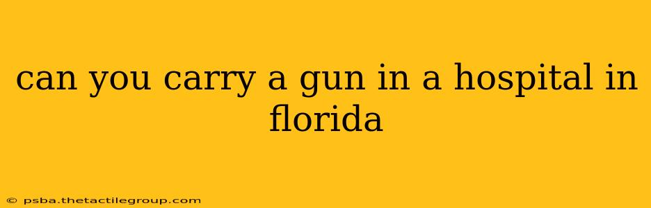 can you carry a gun in a hospital in florida