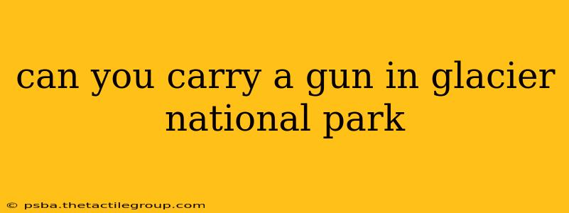 can you carry a gun in glacier national park