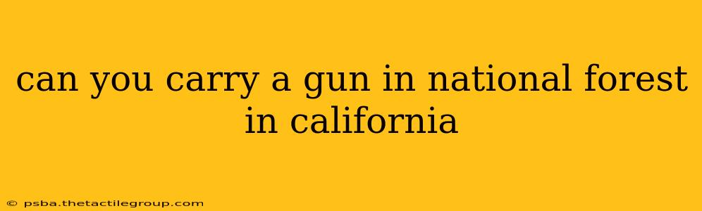 can you carry a gun in national forest in california