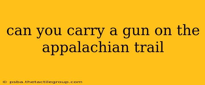 can you carry a gun on the appalachian trail