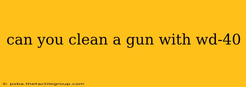 can you clean a gun with wd-40