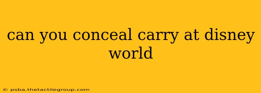 can you conceal carry at disney world