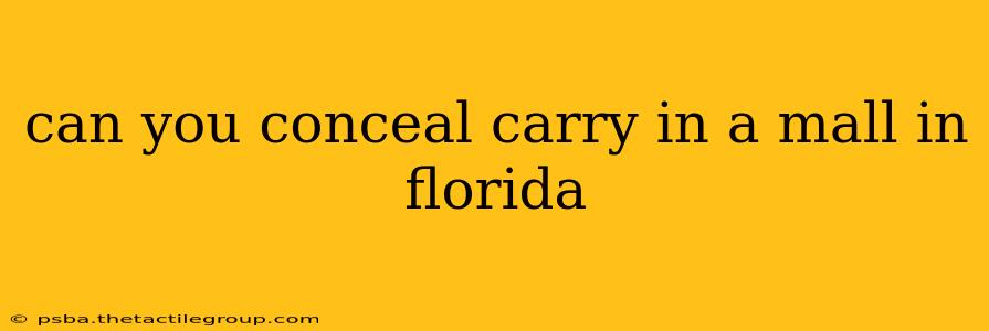 can you conceal carry in a mall in florida