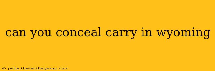 can you conceal carry in wyoming