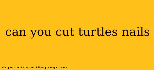 can you cut turtles nails