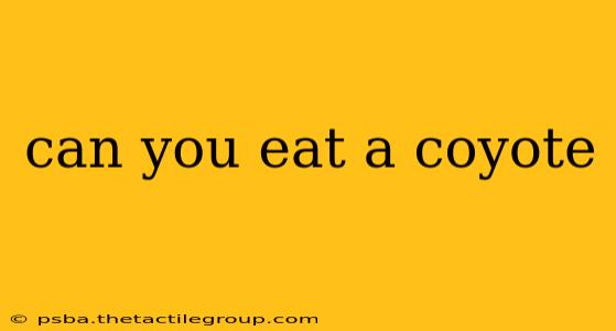 can you eat a coyote