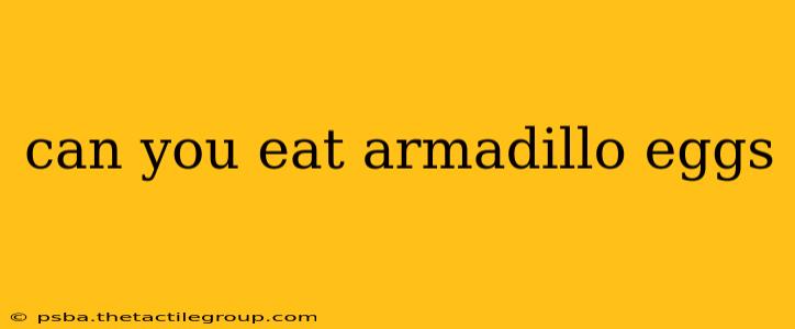 can you eat armadillo eggs