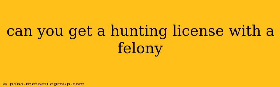 can you get a hunting license with a felony