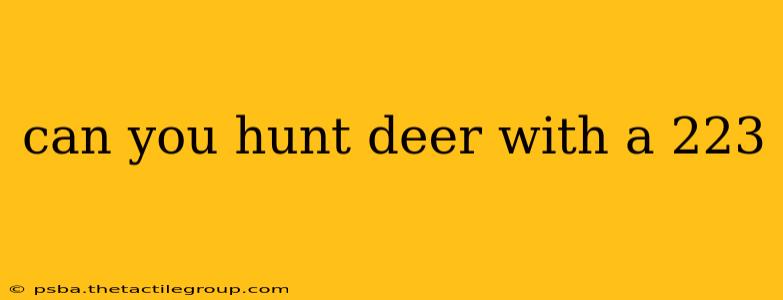 can you hunt deer with a 223