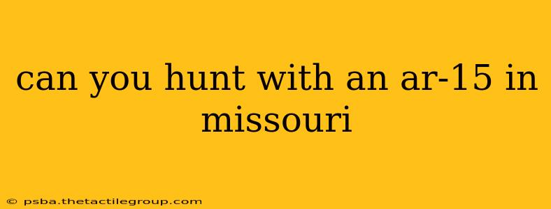 can you hunt with an ar-15 in missouri