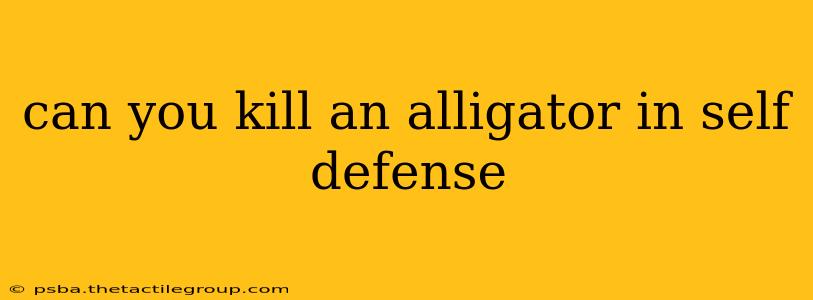 can you kill an alligator in self defense