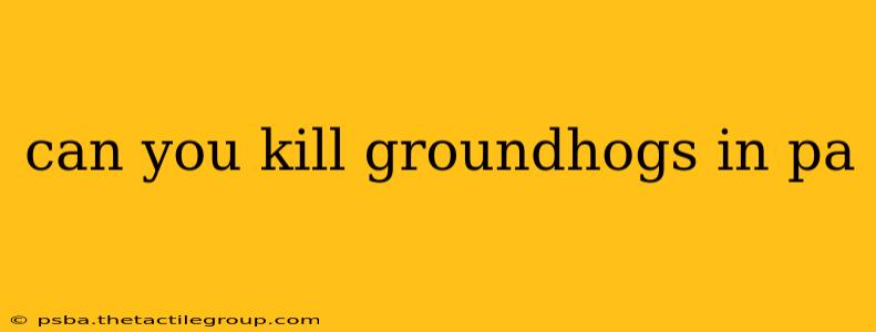 can you kill groundhogs in pa