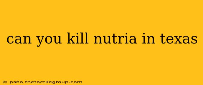 can you kill nutria in texas