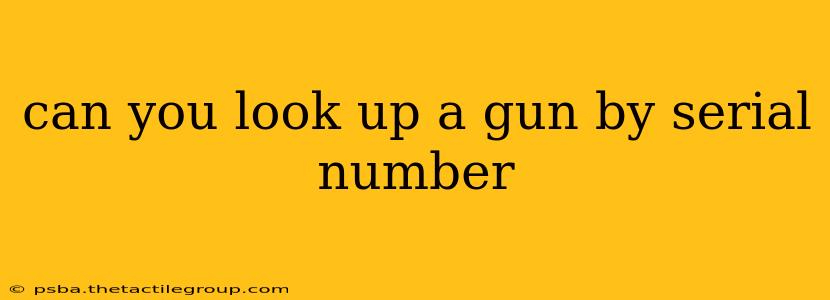 can you look up a gun by serial number