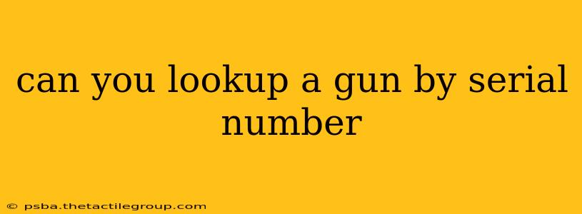 can you lookup a gun by serial number