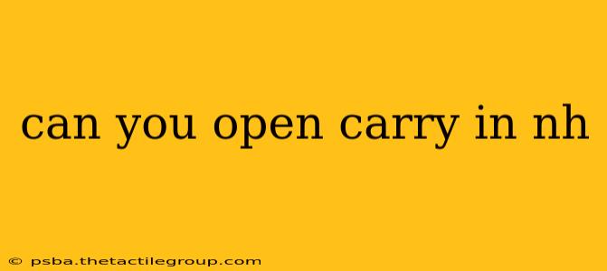 can you open carry in nh