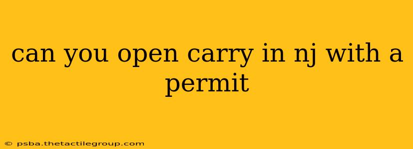 can you open carry in nj with a permit