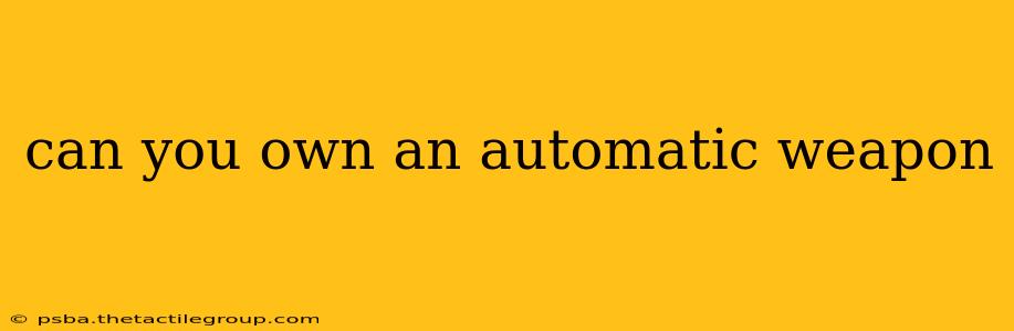 can you own an automatic weapon