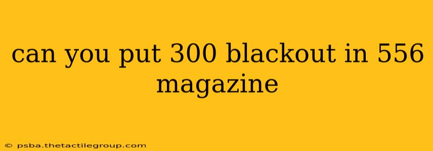 can you put 300 blackout in 556 magazine